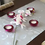 Miramaris
